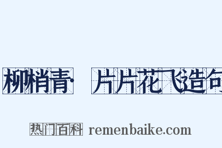 柳梢青·片片花飞造句是什么意思的图片